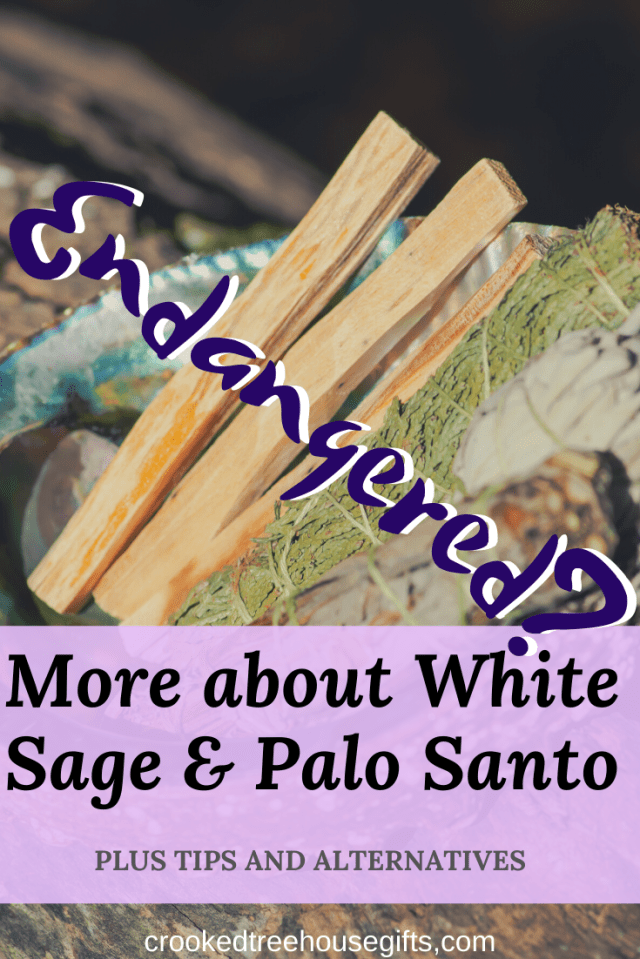 More about White Sage & Palo Santo