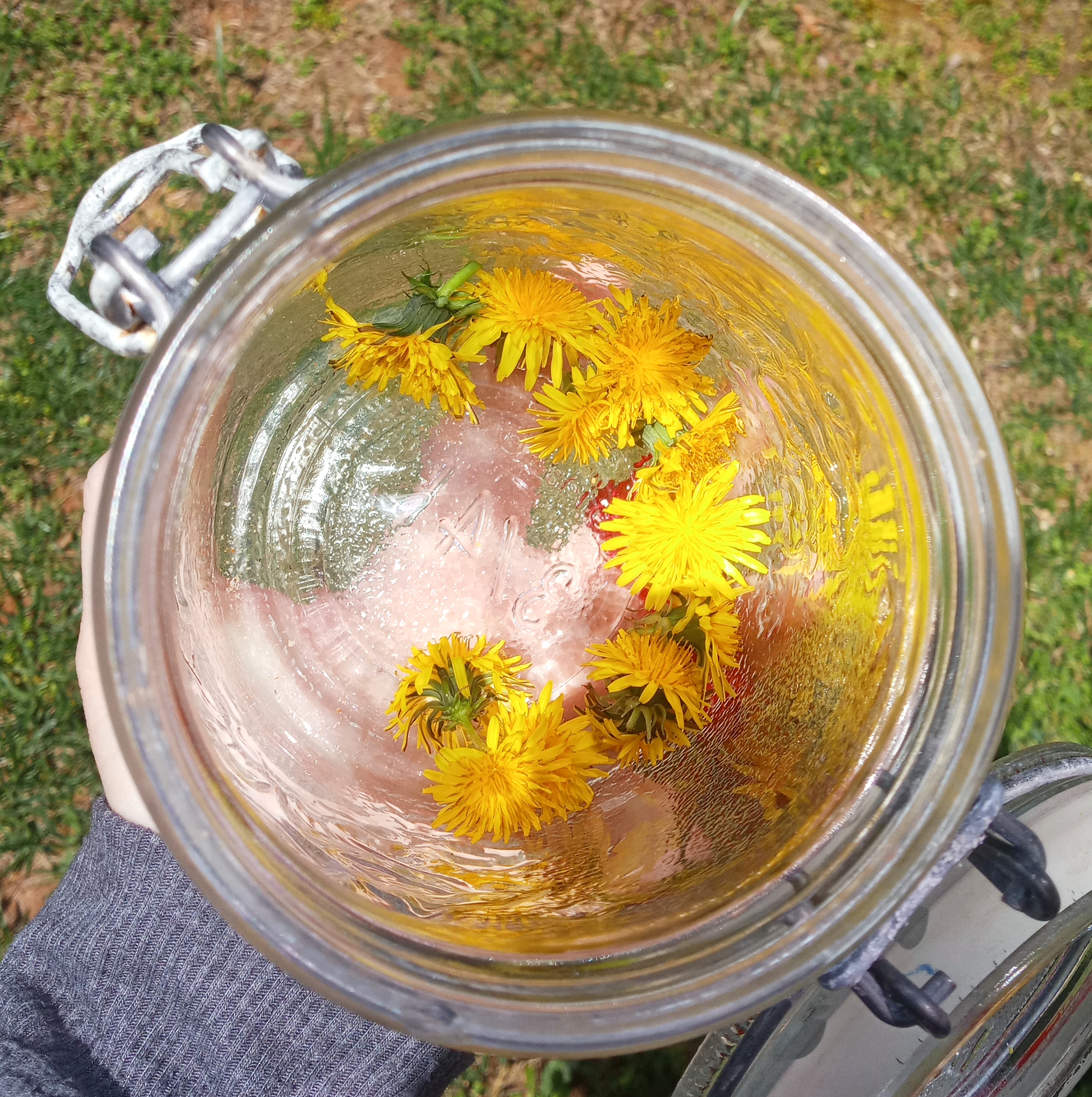 IMG_20200401_132448-01